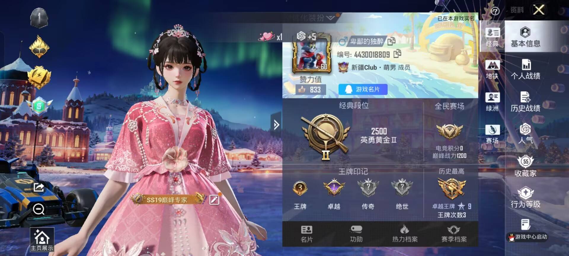 HPCMW3447837和平精英账号详情图2