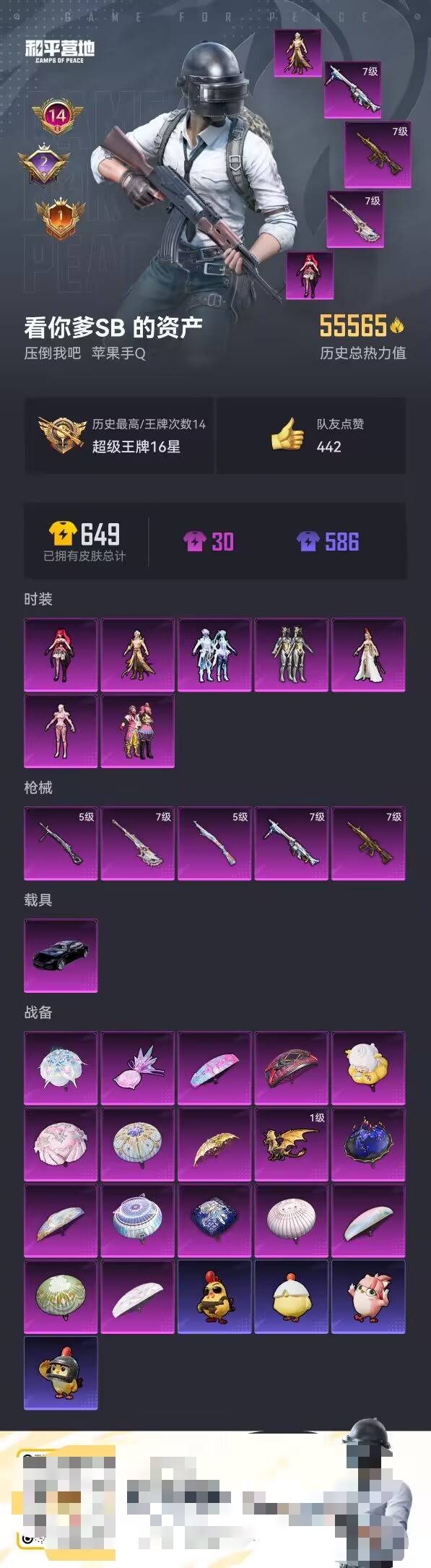 HPCMW3452820和平精英账号详情图3