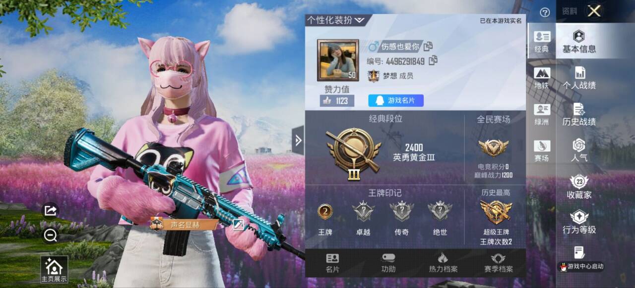 HPCMW417222和平精英账号详情图4