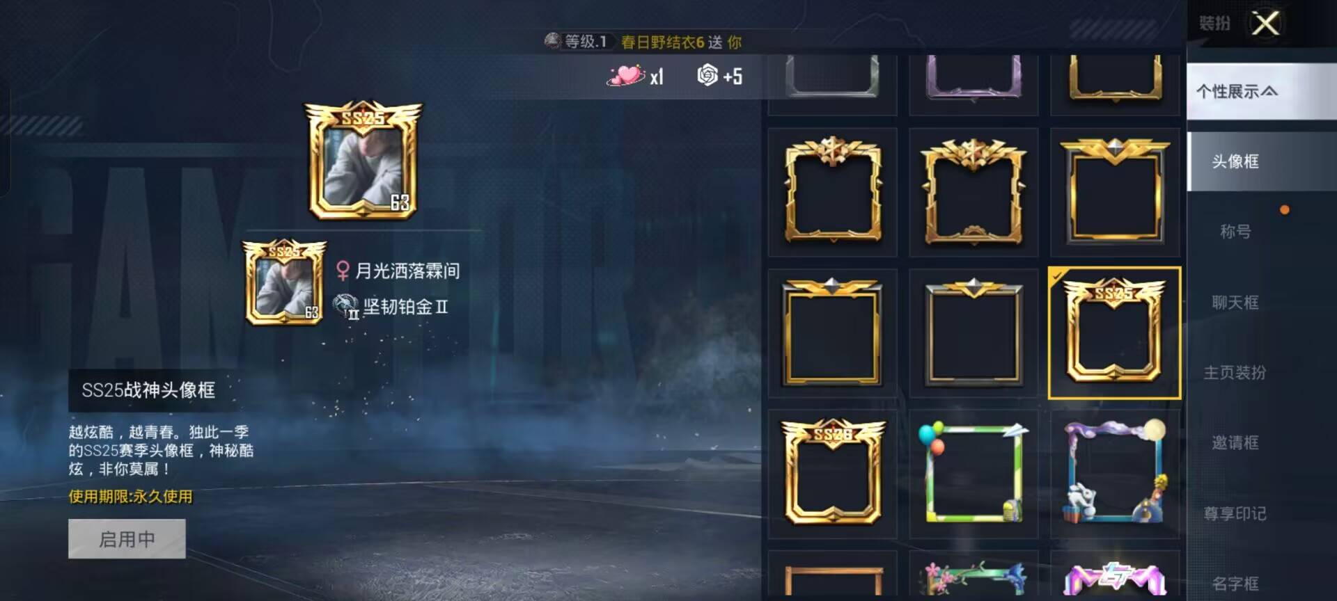 HPCMW433719和平精英账号详情图5