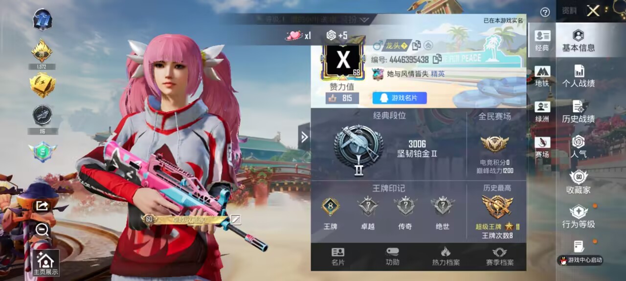 HPCMW456030和平精英账号详情图2