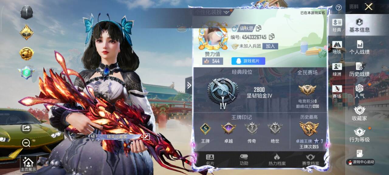 HPCMW461390和平精英账号详情图2