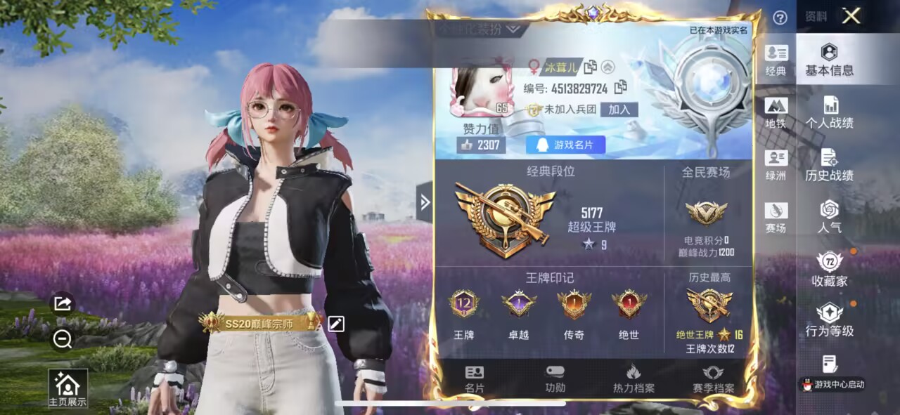 和平精英账号苹果QQ2载具-183套装-214枪皮-【】【商品标题】：苹果 手Q-25粉装-9特效枪-2载具-84953