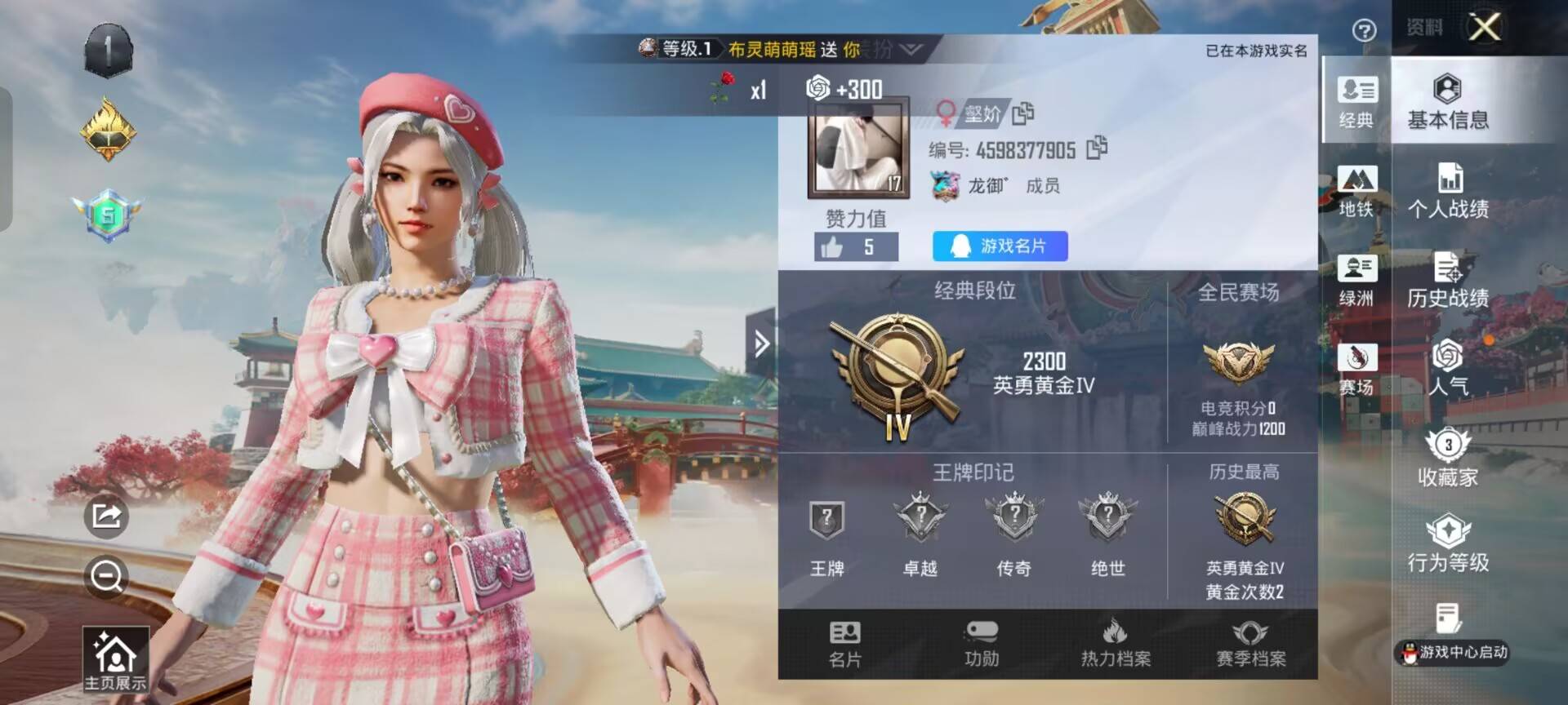 HPCMW464501和平精英账号详情图4