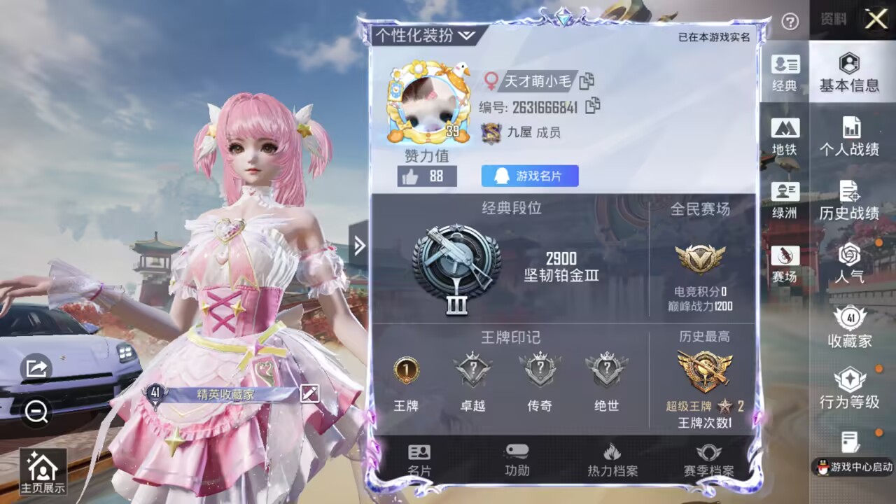 HPCMW470729和平精英账号详情图3