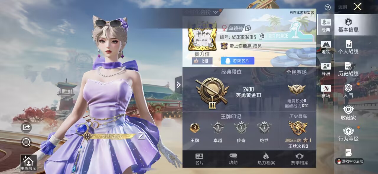 HPCMW475799和平精英账号详情图4